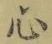 글자 心