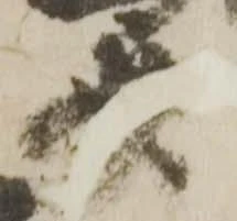 Located 斎