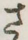 位置 確認된 さ