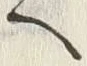 「へ」字