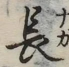 長 위치 확인됨
