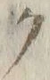“ク”字