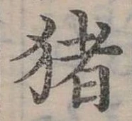豬 위치 확인됨