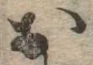 미지정 위치 확인됨