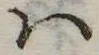 Đã định vị 𛂞
