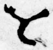 𛄜 위치 확인됨