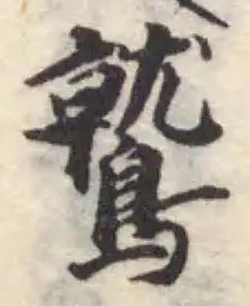 位置定マレル鷲