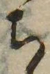 㐌定位𣗓檊