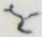 文字 を