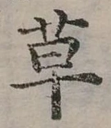 草 위치 확인됨