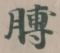 膊 위치 확인됨
