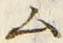 字ム