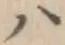 글자 ハ
