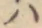 Đã định vị 𛂞