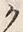 “ク”字