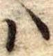 𛂞の位置