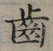 Đã định vị 齒