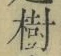 글자 樹