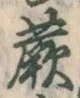 文字蕨