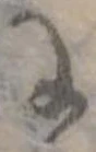 位置定マレル未定