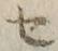 字セ
