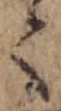 𛁳 위치 확인됨