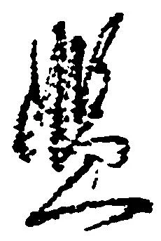 Located 濫