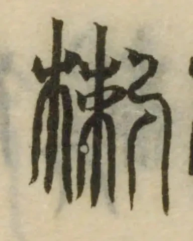 Đã định vị 楋