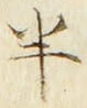「半」字