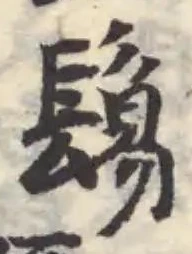 鬀の位置