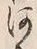𡨸河