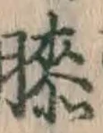 Chữ 膝