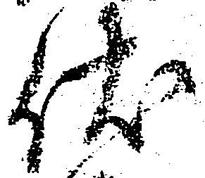 Đã định vị 伏