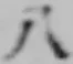 文字八