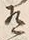 Character 有