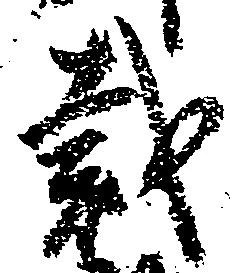 Đã định vị 裁