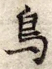 鳥 위치 확인됨