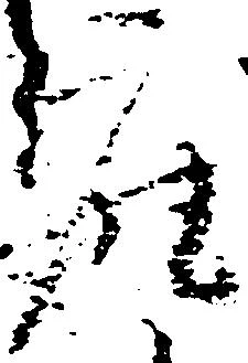 已定位座