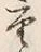 글자 重