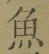 文字魚