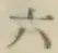 字六