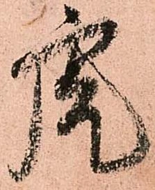 虎 위치 확인됨