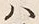 글자 斗