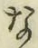 Chữ な