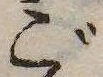 位置 確認된 ご