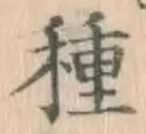 글자 種
