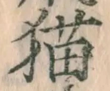 文字 猫