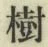 文字樹
