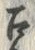 文字召