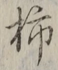 字柿